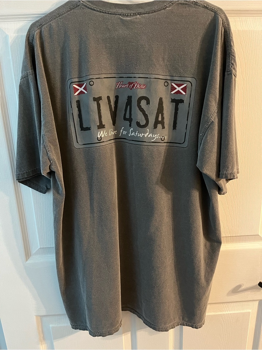 Chouinard  Comfort Colors Gray XL Tee
